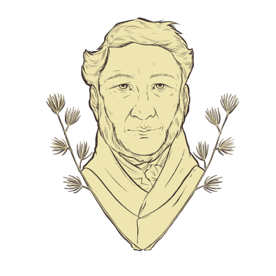 An illustrated portrait of an older man with fir boughs