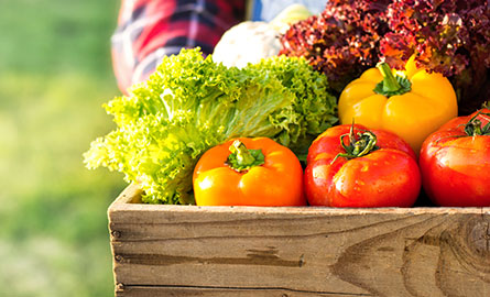 Farmer holding a basked of vegetables