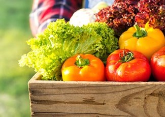 Farmer holding a basked of vegetables