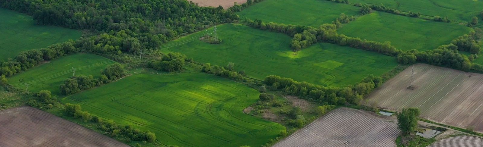 Patchwork fields in Port Hope