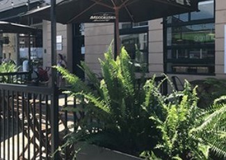 A restaurant with a patio and plants