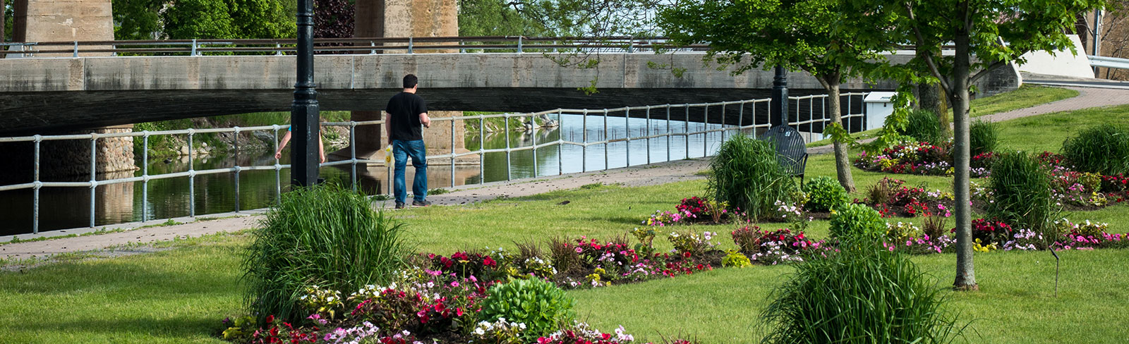 Flowers in Rotary Park in Port Hope
