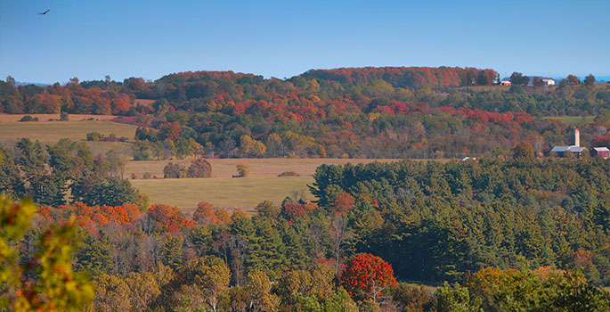 View at Richardson's Lookout in Port Hope