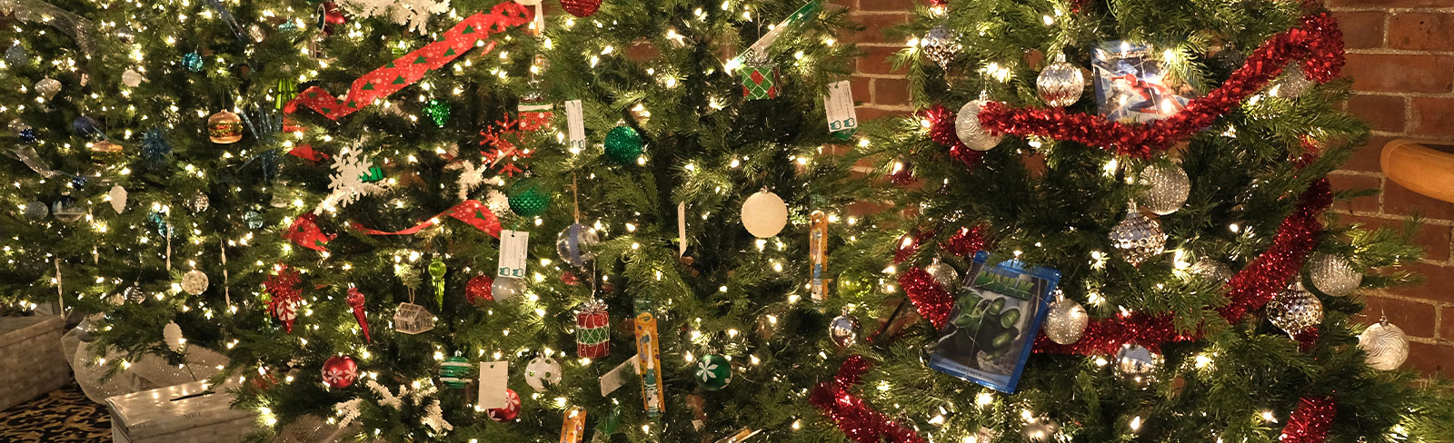 Christmas trees lined up at the Capitol Christmas in Port Hope