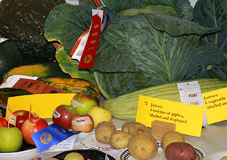 Table full of fresh vegetables with ribbons