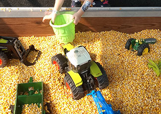Table full of corn and tractors for kids to play