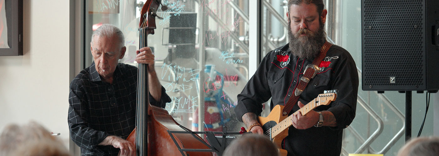 Two musicians performing