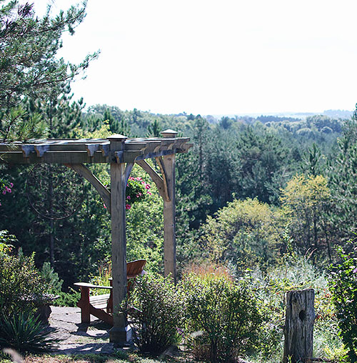 View of the Ganaraska Forest