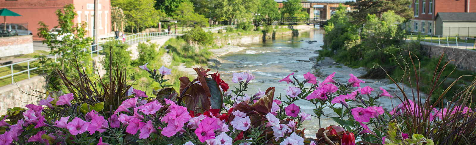 Flower basket overlooking Ganaraska River