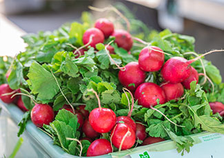 Basket of radishes