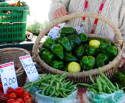 Vender selling produce at Farmers Market in Port Hope