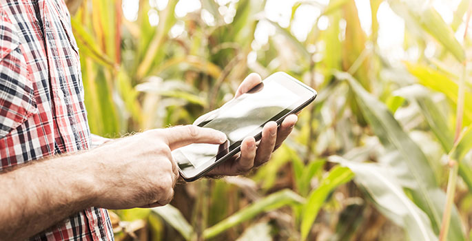 Man looking at phone plotting route in farmers field
