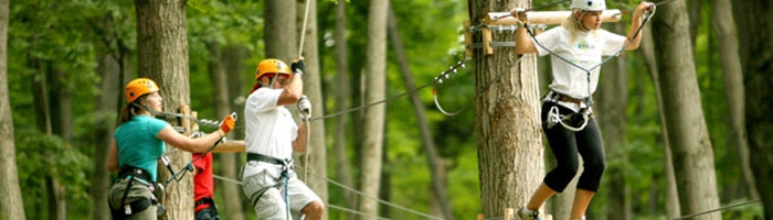 Treetop trekking in Port Hope