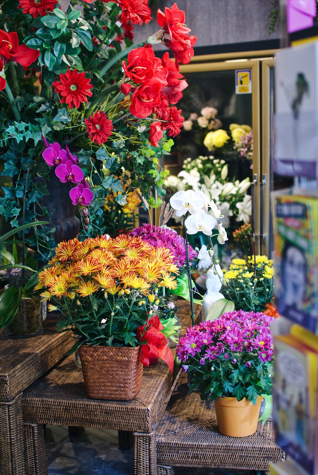 Floral display at Holton Flower's 