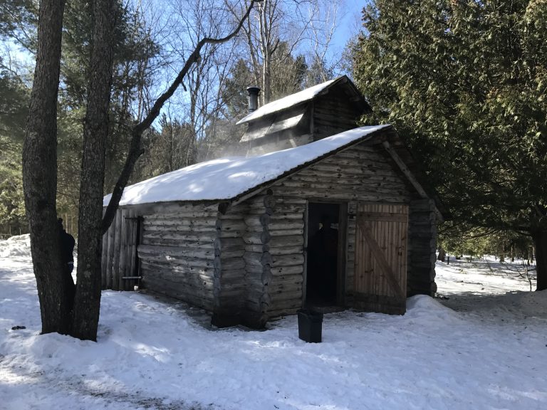 A small wooden cabin with it's door open in the snowy forest