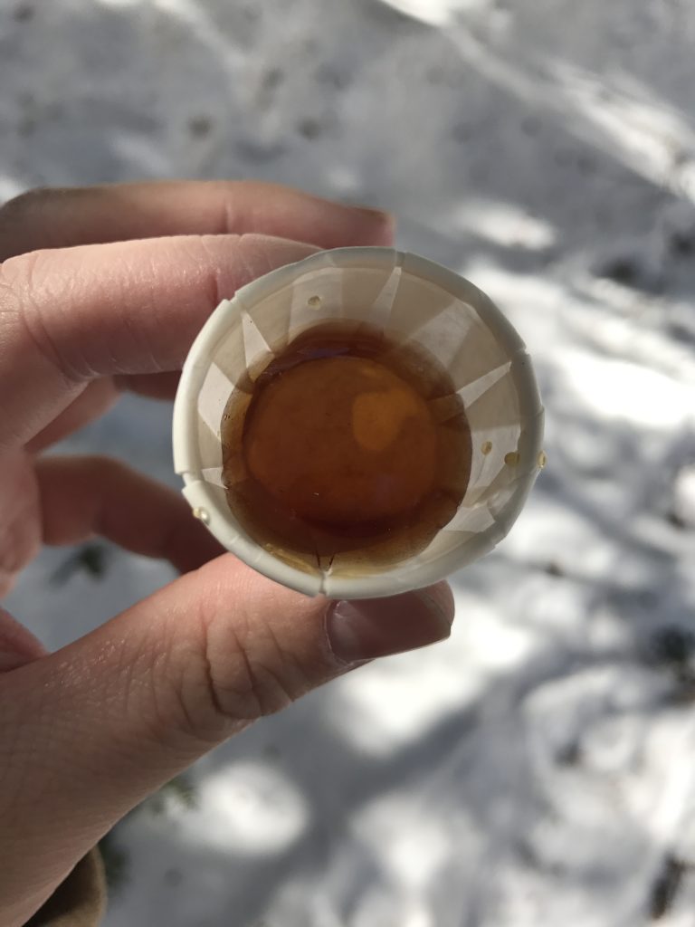 A small disposable cup filled with amber coloured maple syrup being held against a snowy ground backdrop