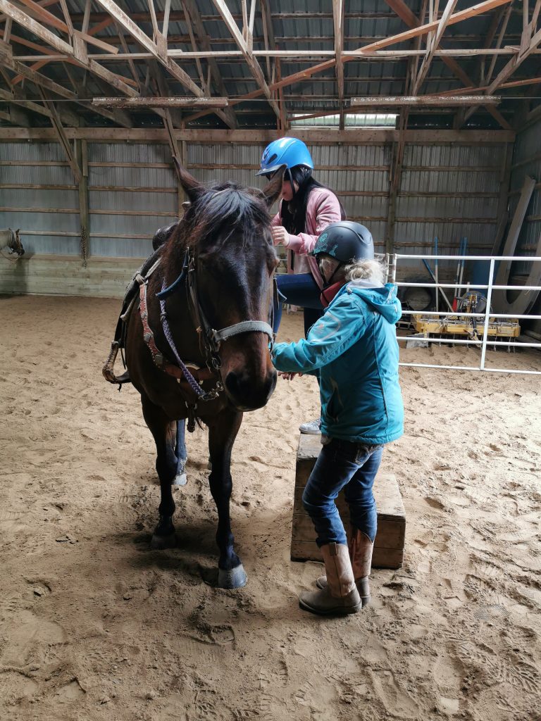 Woman mounting horse 