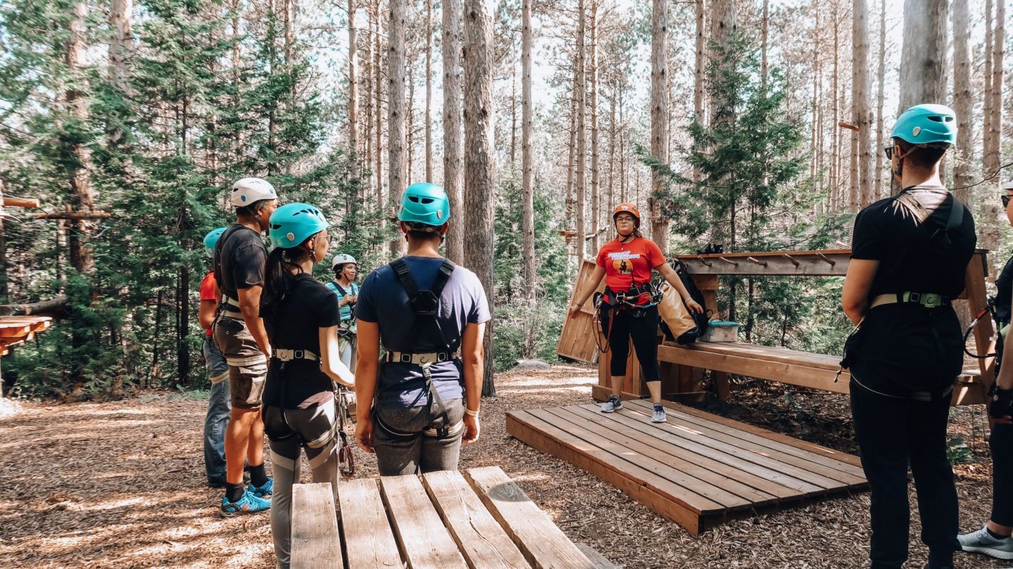People hiking in forest
