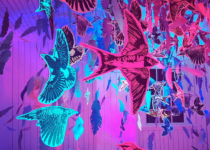 Neon blue, pink, and purple birds fluttering around feathers as an art piece