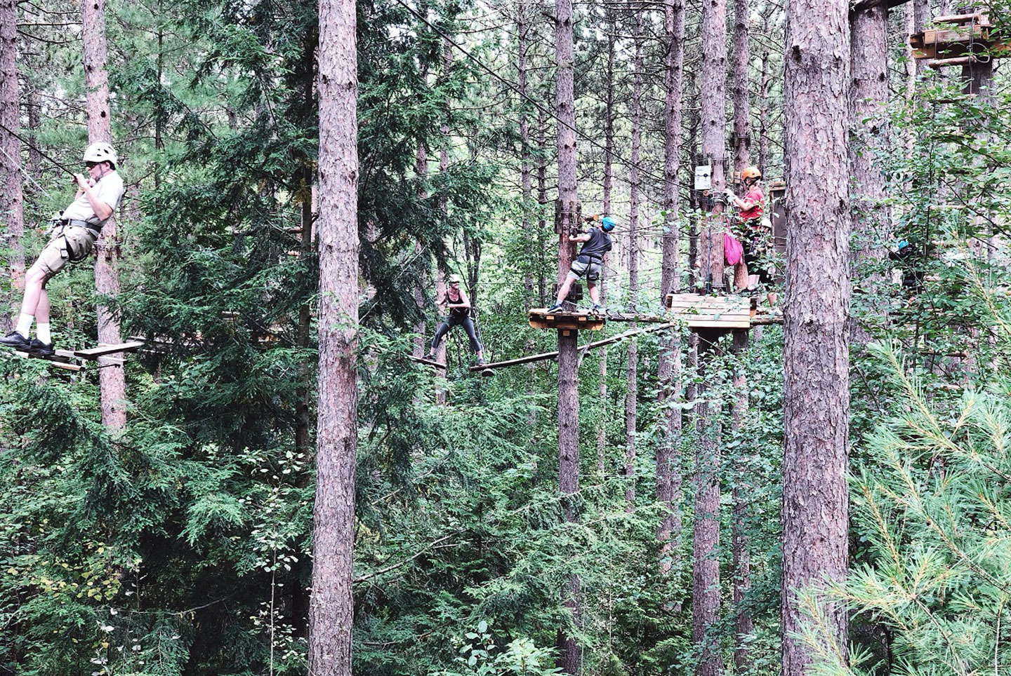 Group of people on aerial Tree Top Trekking course