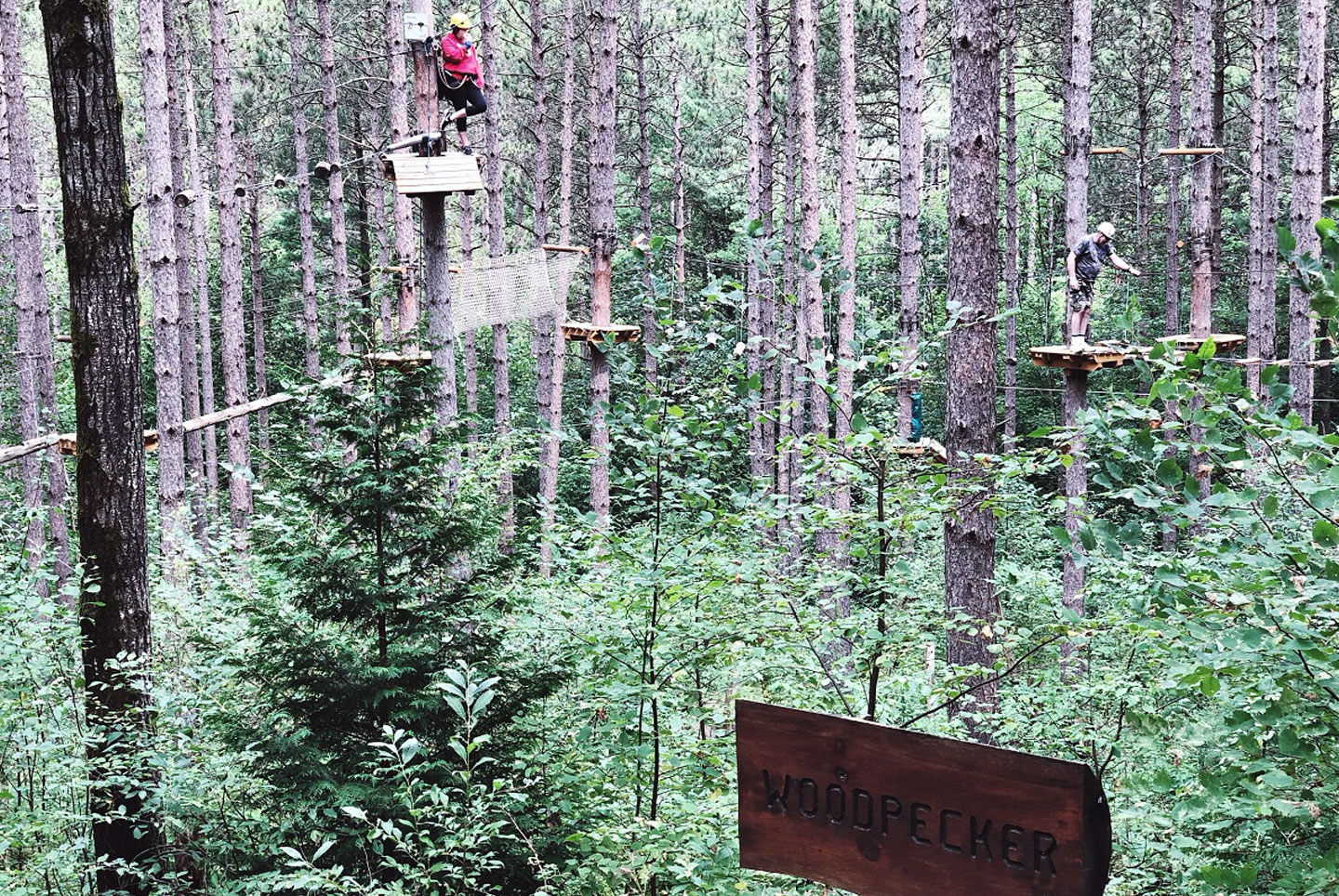 Person completing aerial Tree Top Trekking course