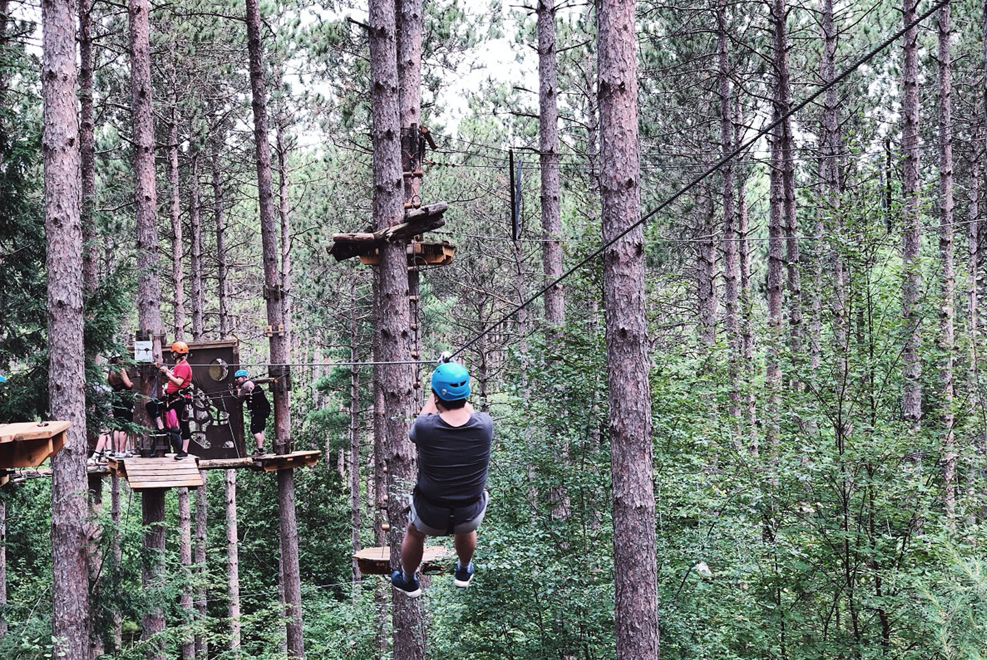 Person zip-lining in Ganaraska Forest in Port Hope
