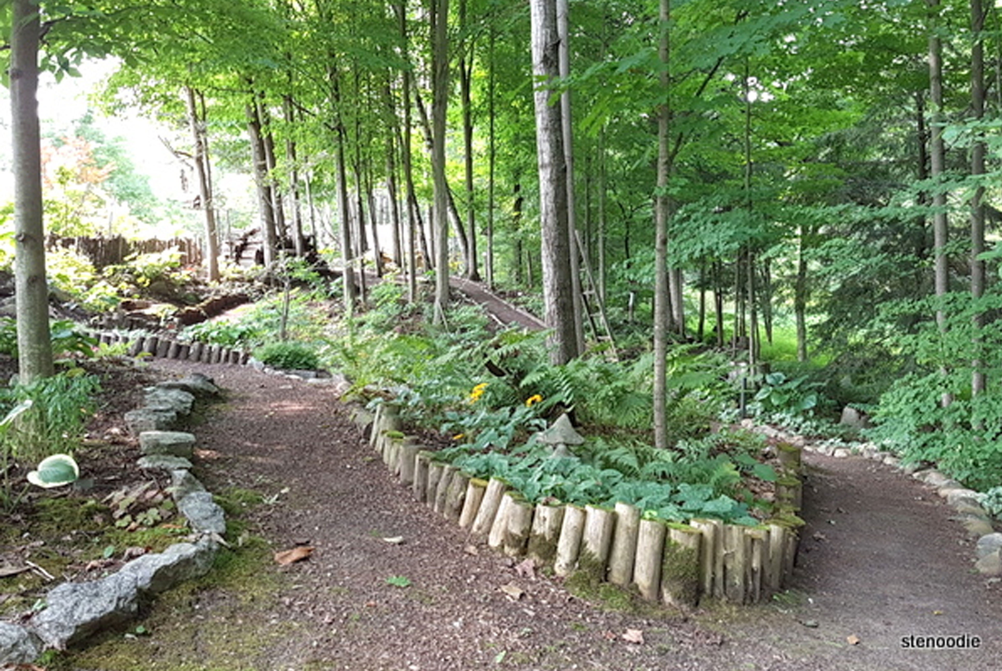 Woodland Gardens outdoor space