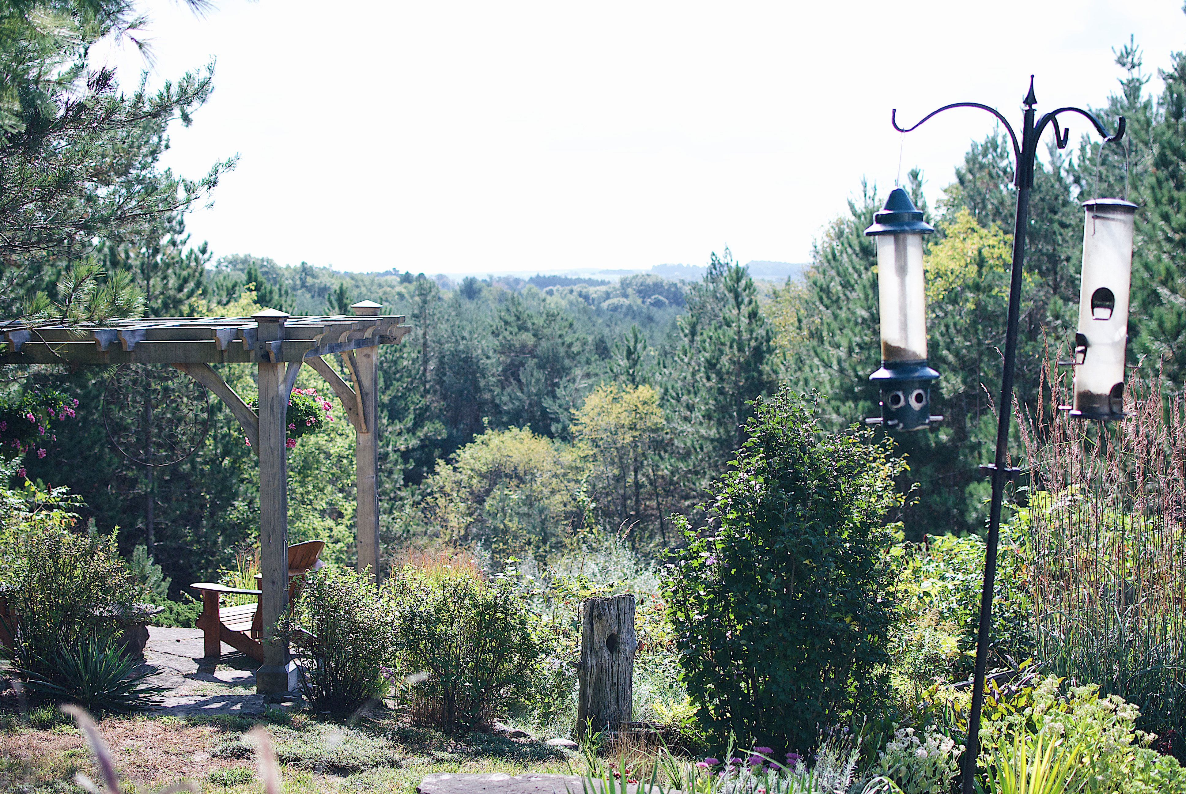 View of the Ganaraska Forest at Moonlight Pines B&B in Port Hope