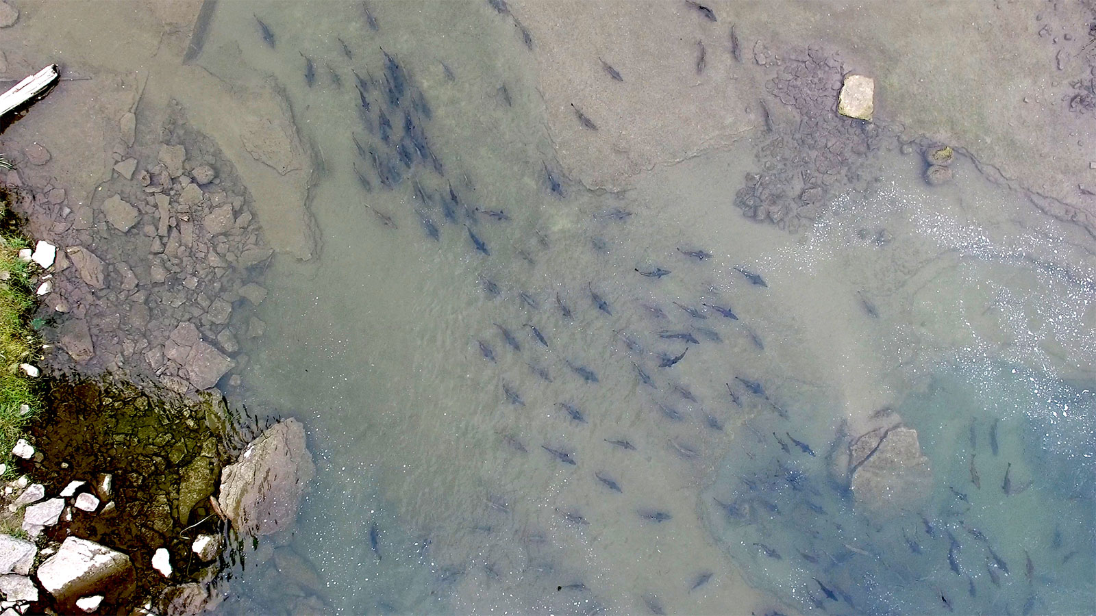 Aerial view of downtown Walton Street