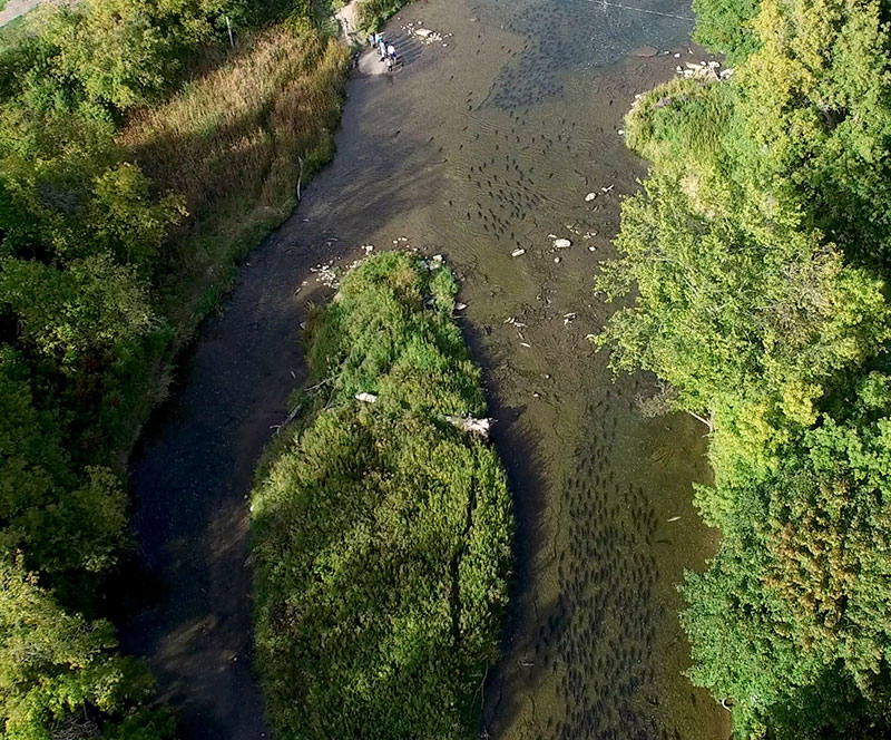 Aerial view of the Ganaraska River in Port Hope