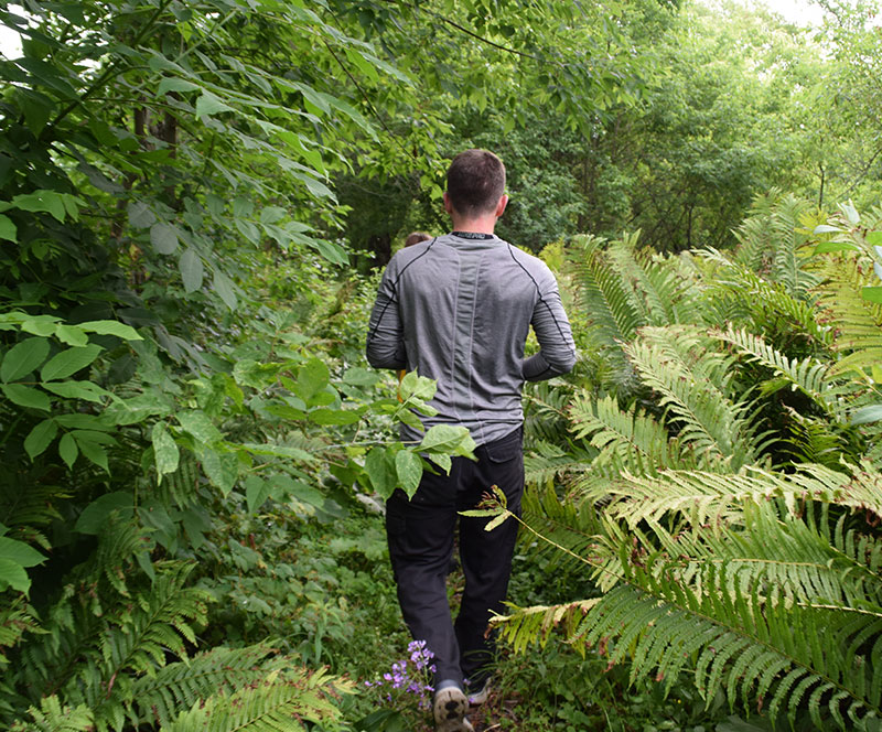 A hiker making his way through the trails