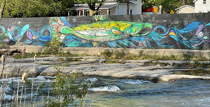 Salmon mural on the banks of the Ganaraska River