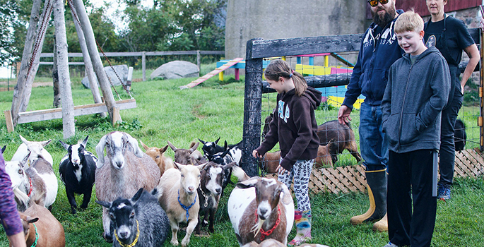 Two children standing beside a herd of small goats