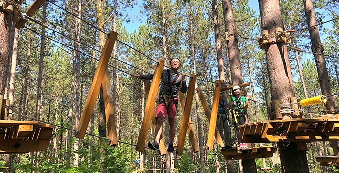 Two people with helmets and safety vests on a rope ladder high up in the trees of a forest