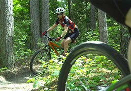 Bikers in the woods