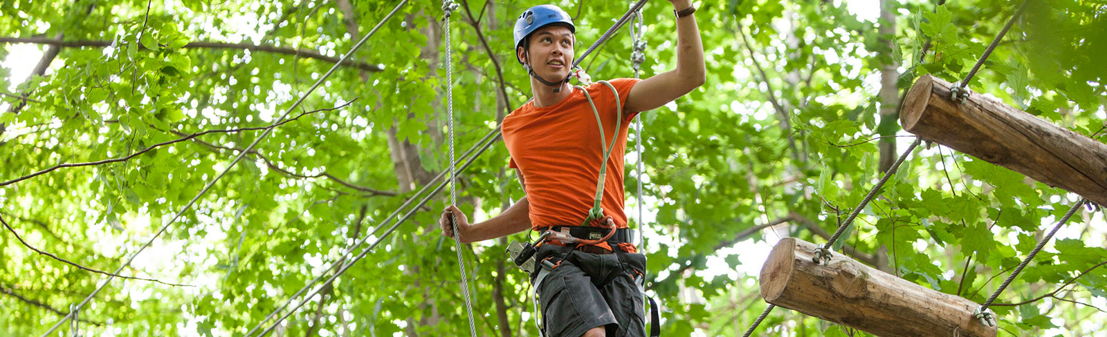 Man performing aerial tree top course in Port Hope