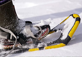 Snowshoe