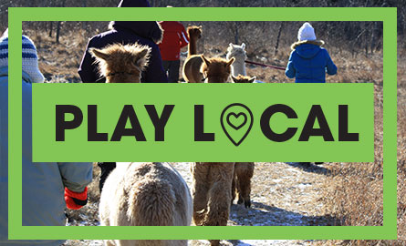 People walking with alpacas down a trail