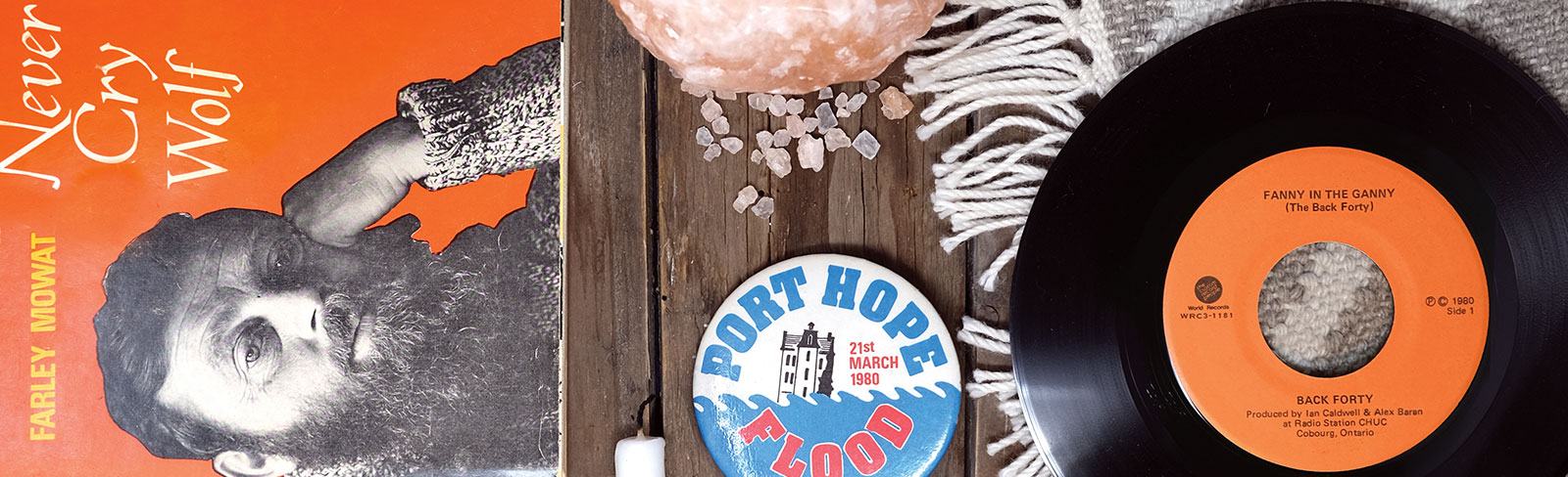 Trinkets on a table - book, pin, record