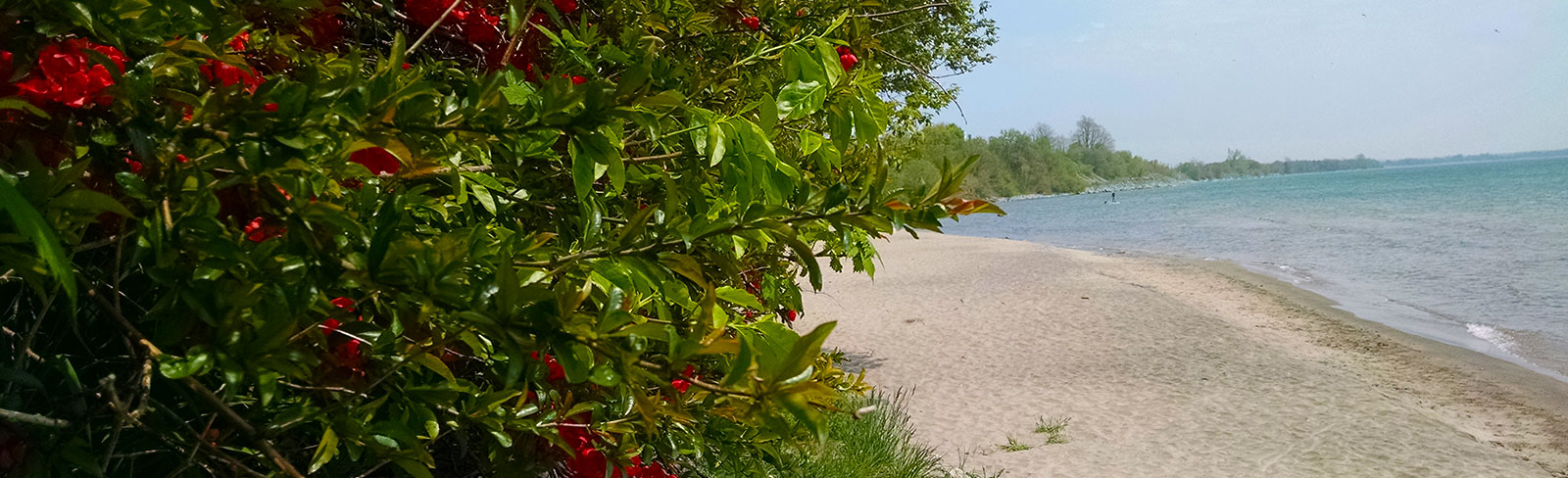 East Beach in Port Hope 