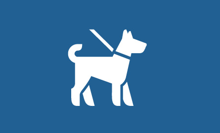 Dog on a leash icon